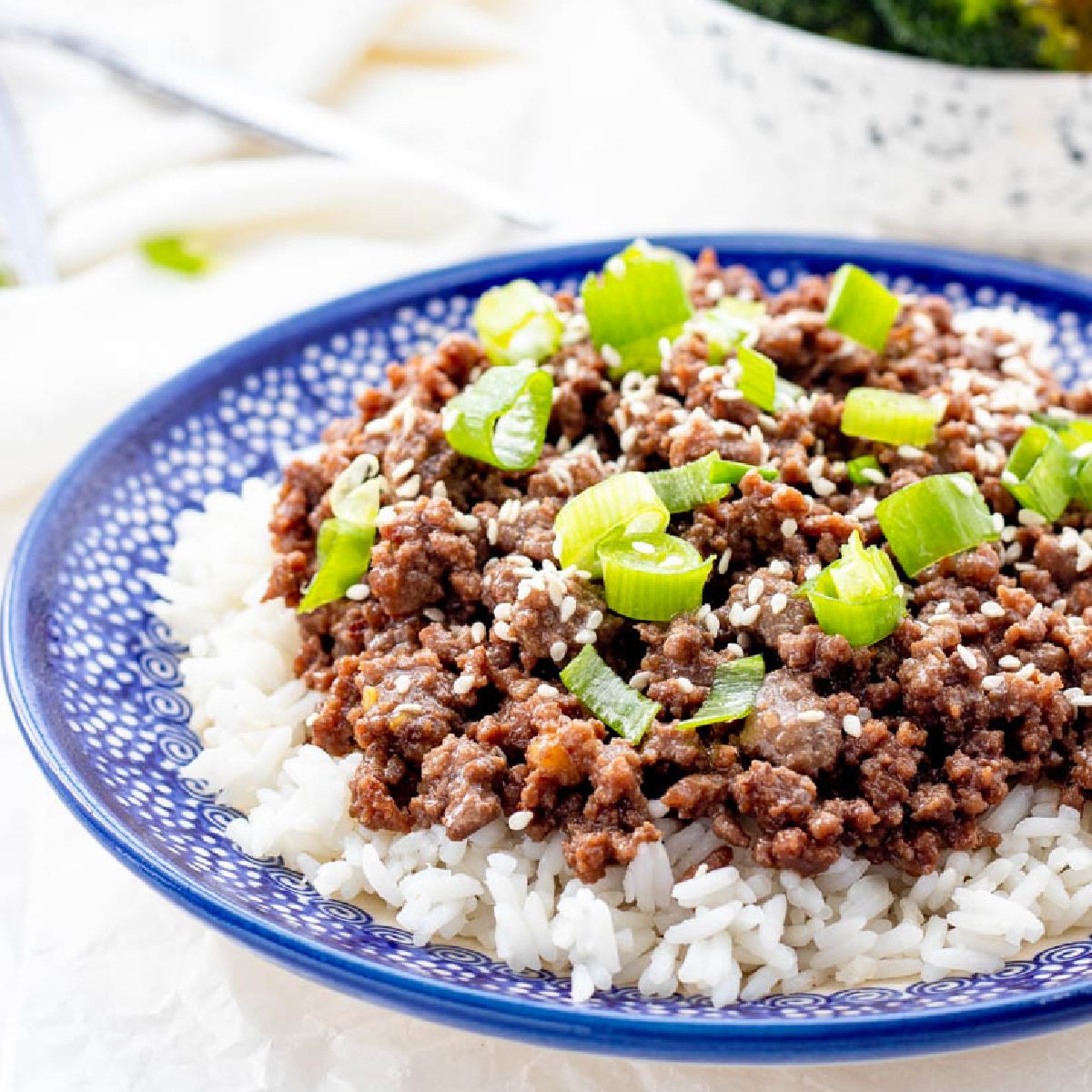 Bowl of Korean Beef